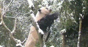 水上项目真是又刺激又好玩